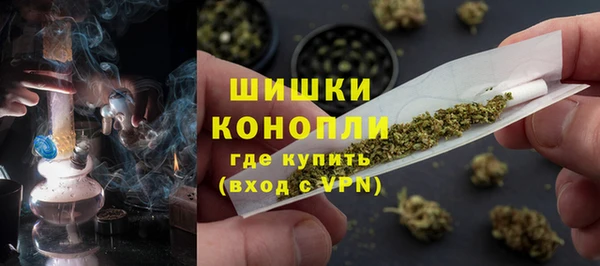 спиды Няндома