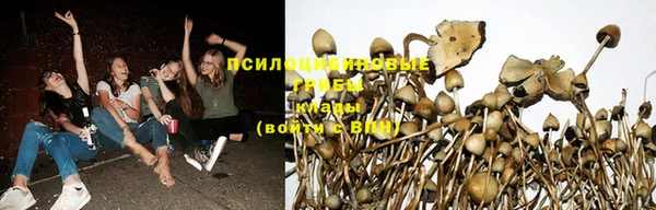 apvp Нязепетровск